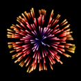 /album/galleria-fotografica/fuochi-d-artificio-5-png/